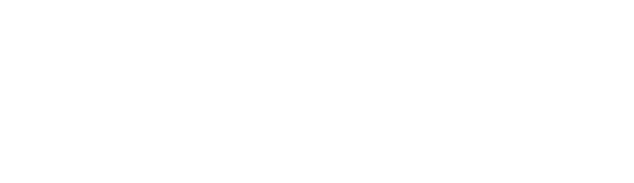 Alexander Lang Consulting